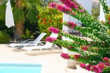 Villa in Coral Bay - Villa Nasia